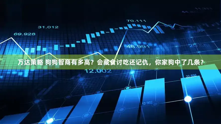 万达策略 狗狗智商有多高？会藏食讨吃还记仇，你家狗中了几条？