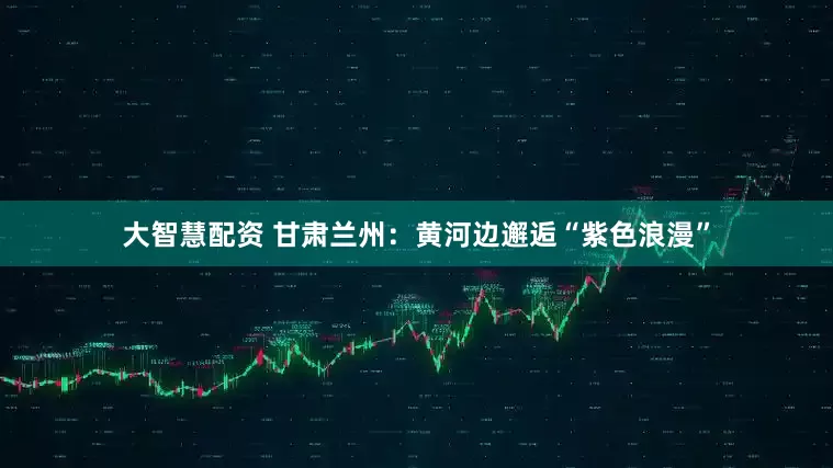 大智慧配资 甘肃兰州：黄河边邂逅“紫色浪漫”