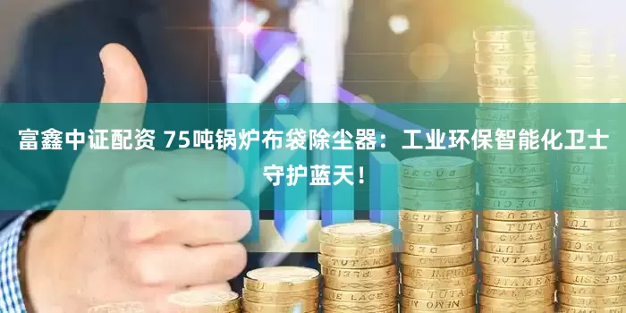 富鑫中证配资 75吨锅炉布袋除尘器：工业环保智能化卫士守护蓝天！