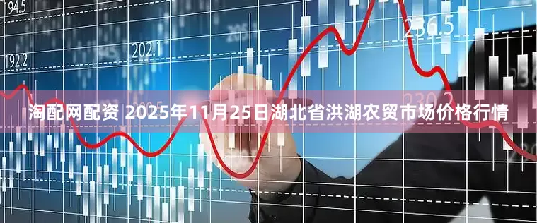 淘配网配资 2025年11月25日湖北省洪湖农贸市场价格行情